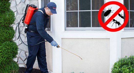 Gülbahçe Dezenfeksiyon böcek ilaçlama ve haşere kontrolü — ilaclama-tr.com